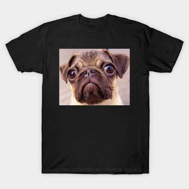 Hand Painted Dog Portrait Pugs T-Shirt by Aventi